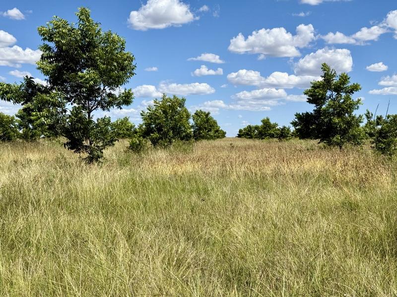 0 Bedroom Property for Sale in Bothaville Free State